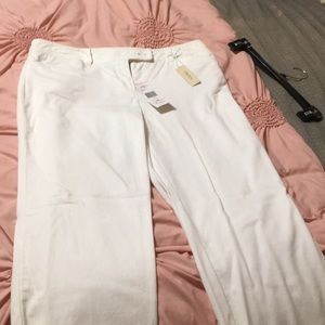 Jones of New York Sport Stretch Capri Pants